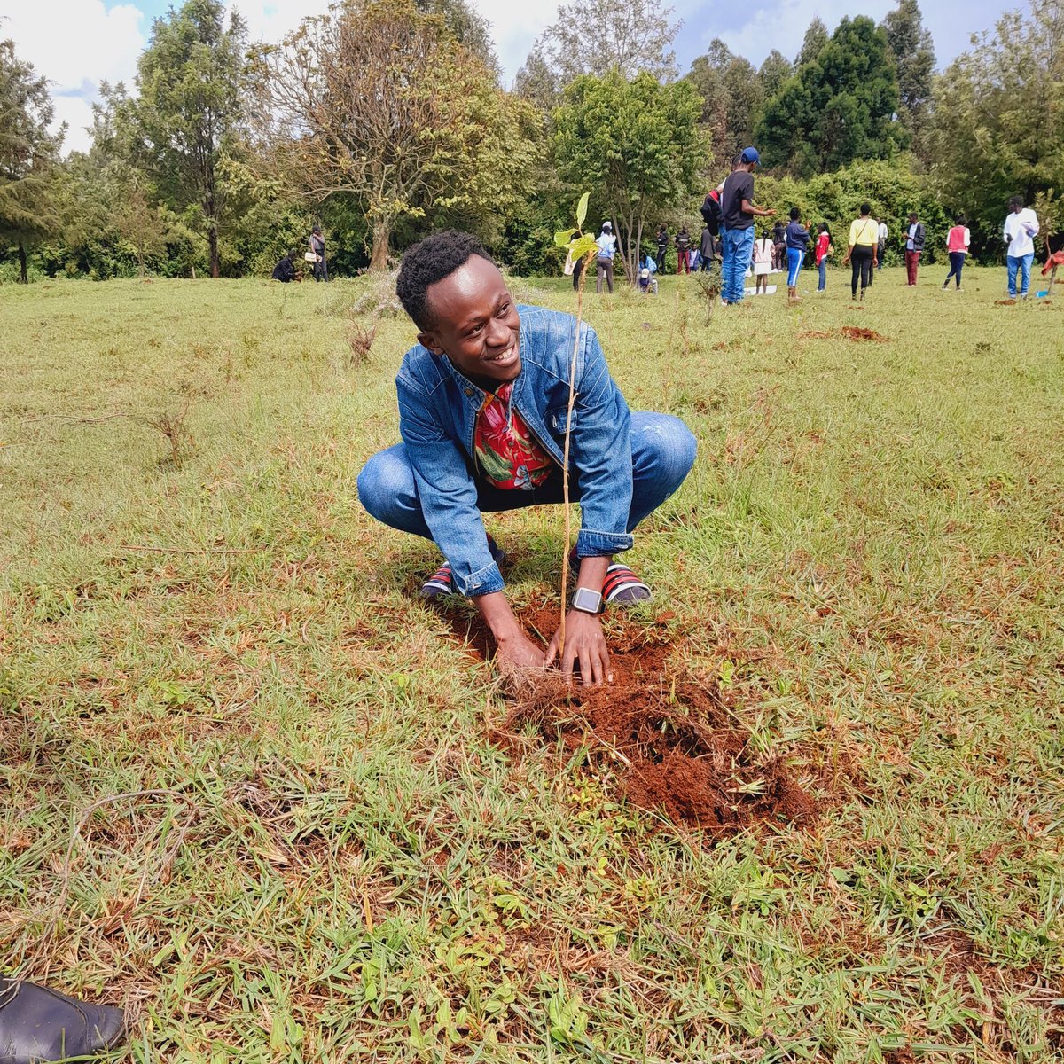 _Upver's tweet photo. The youth planted trees to mark the covenant signed that they are going to be peace ambassadors. https://t.co/Z9Kr8k6ikJ