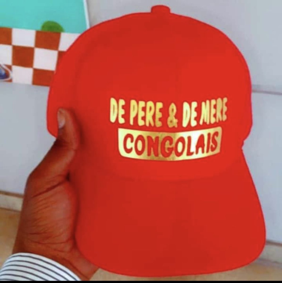 La Force du Changement se veut un parti politique qui rassemble tous les congolais derrière le Plan Marshall de Noël Tshiani pour la Reconstruction et le Développement de la RDC. Nos valeurs:  bonne gouvernance, Etat de droit fonctionnel, développement éco et social avec équité.