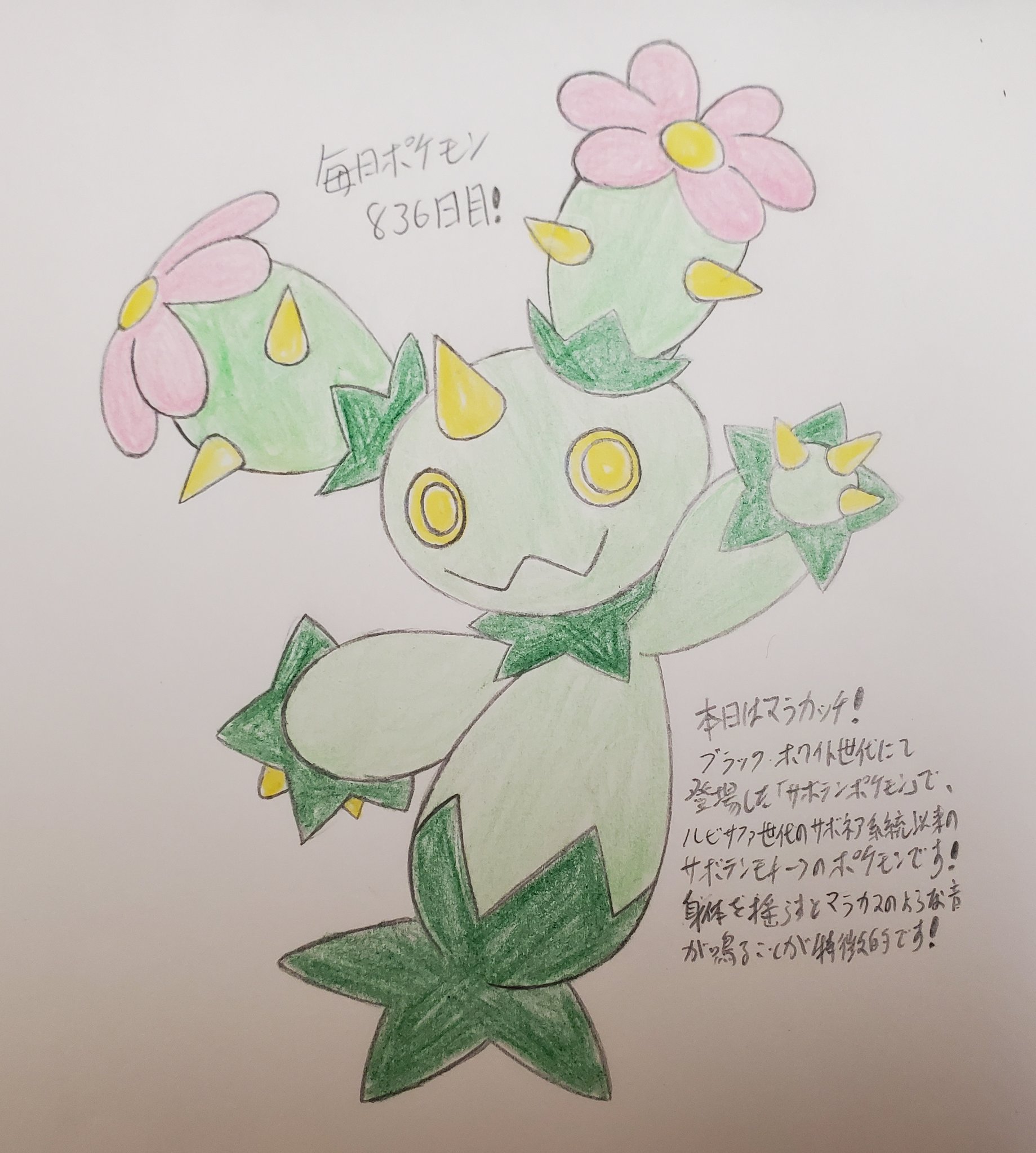 Runner Hiro Runrun 常識を超える 毎日ポケモンお絵描き 6日目 本日はマラカッチを描きました ブラックホワイト世代にて登場した サボテンポケモン で 分類通りサボテンのような姿をしたポケモンです 動くとマラカスのような音がする仕組みと