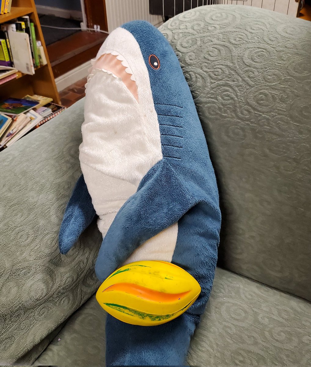 SizeJBattery's tweet photo. #nerf #shark #BLAHAJ https://t.co/jWq4D1bUZd