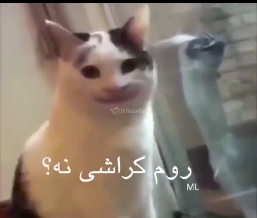 کچل tweet media