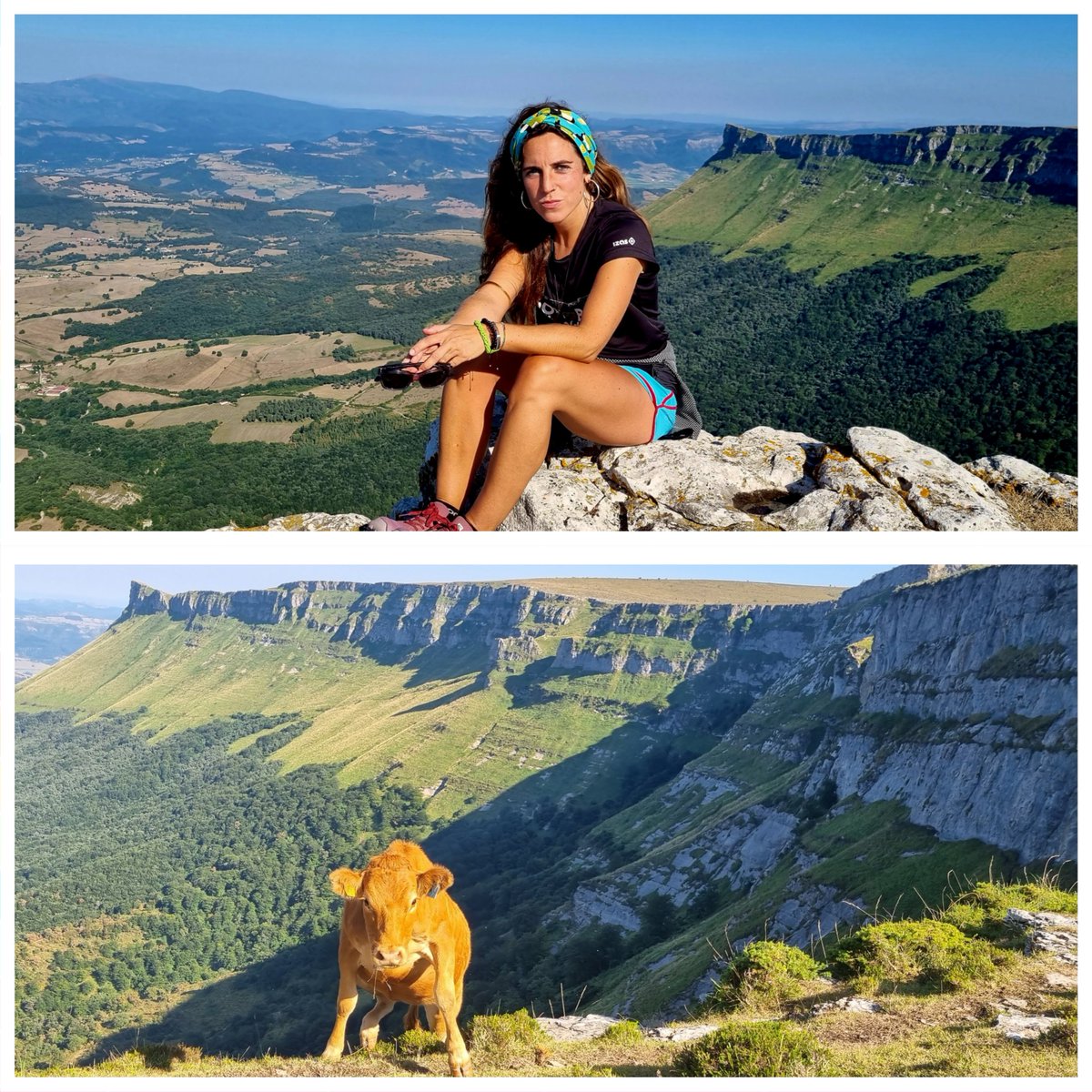 ireneaspuru's tweet photo. Arratsalde ederra ,gorobeletik ibiltzeko ⛰️💚🥰💪!!
🎶maite ditut maite gure bazterrak!!#gorobel #ungino👁 #bizipoza 🥰 https://t.co/oVi4FJVidZ