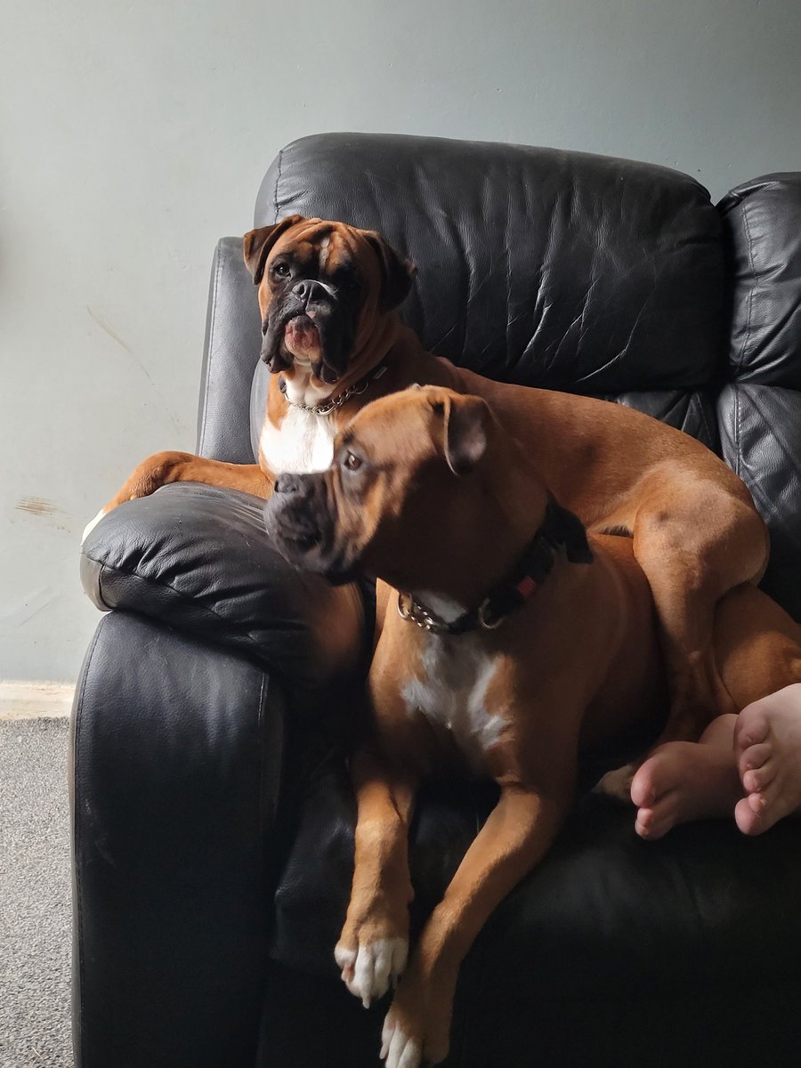 VickyPi58840741's tweet image. Well Max I'm comfortable, are you? 😂😂😂