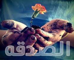 jg_wup's tweet photo. 💚🍀
منشن اقرب صديق (ة) لك تعرفت عليه في تويتر https://t.co/NgH7gjlcBP