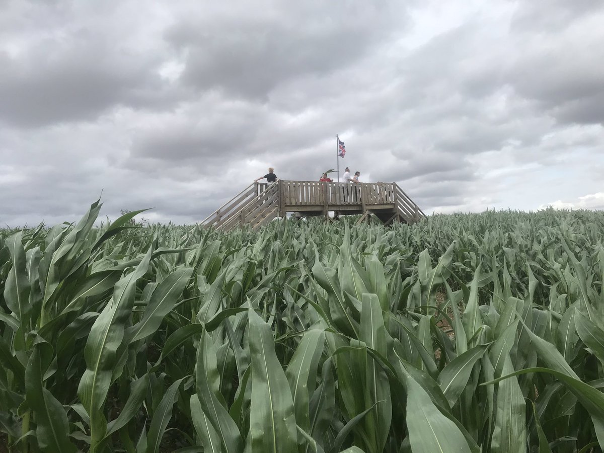 John_Ian_Radio's tweet photo. Fun day on #SummerSaturday for @BBCNorthampton
Three events in Wellingborough and then the Harpole Maize Maze.
The #Colourscape art installation was weirdโฆbut fun. Go see it if you have the chance.
And I loved the Maize Maze in Harpole. Teresa and the team were so welcoming. https://t.co/dtM3dohxTC