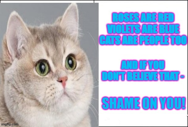 therealtwfuller's tweet photo. #Caturday #SaturdayMorning #SaturdayVibes #Memes https://t.co/ixn3gAr4ty