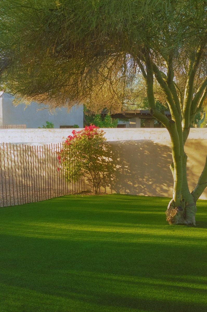 AlexKittoe's tweet photo. Photos I took in Scottsdale 🎞 https://t.co/uStU0vIp2i