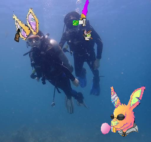 thinkingINTP's tweet photo. Shadow order is coming!!
We're a dead rabbit in the deep sea.
Waiting for Supreme...
#shadowOrder #DRRS #RabbitSupreme @deadrabbitRS #Cardano #CNFTcommunity https://t.co/rl9C2wp707