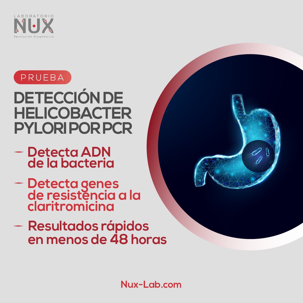 La prueba de Helicobacter pylori por PCR detecta la presencia de la bacteria y los genes de resistencia a la claritromicina en una sola muestra de heces. 🦠

¿Tienes preguntas acerca de la prueba? 
Escríbenos al 6644-6299 o llámanos al 373-5839.

#nuxlaboratorio