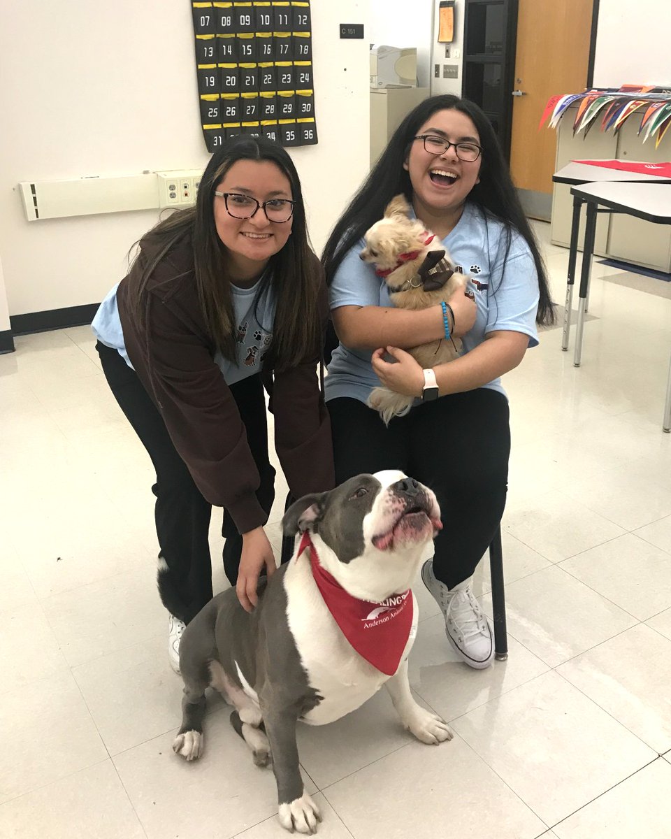 Our Healing Paws therapy dogs visited Streamwood High School! The teachers said it was one of the most popular projects they’d seen! 🐾 Click here to read the whole story: ahconnects.org/streamwood-stu…