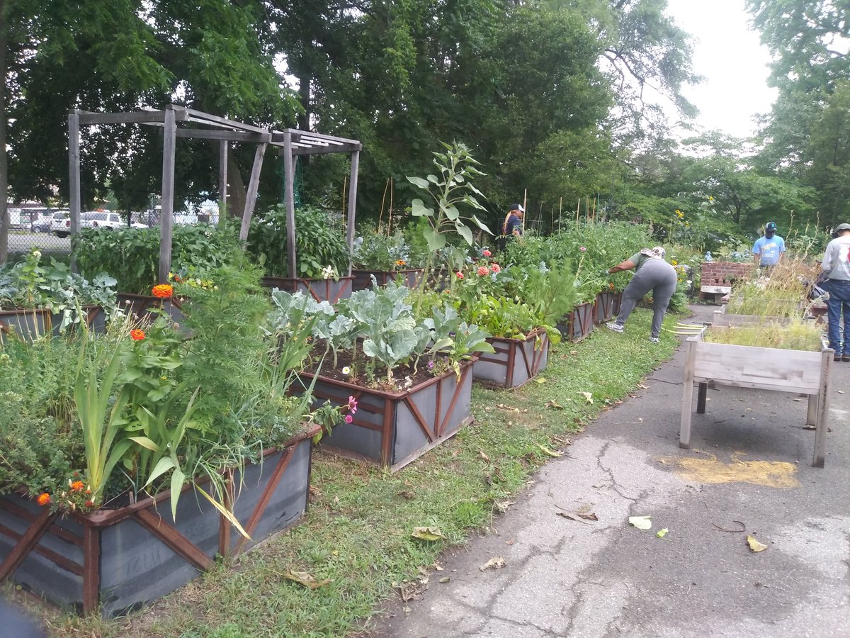 UptownKev30's tweet photo. It's what we do every day (cleanin' up our neighborhood), but Saturdays we got the best volunteers in the world.
#DetroitBlightBusters #ArtistVillageDetroit https://t.co/gwWrywlQaC