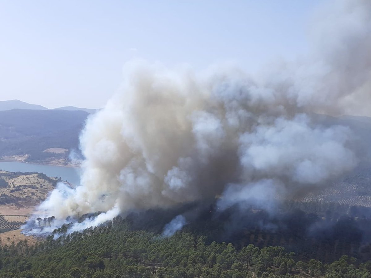 EMA INFOCA tweet media