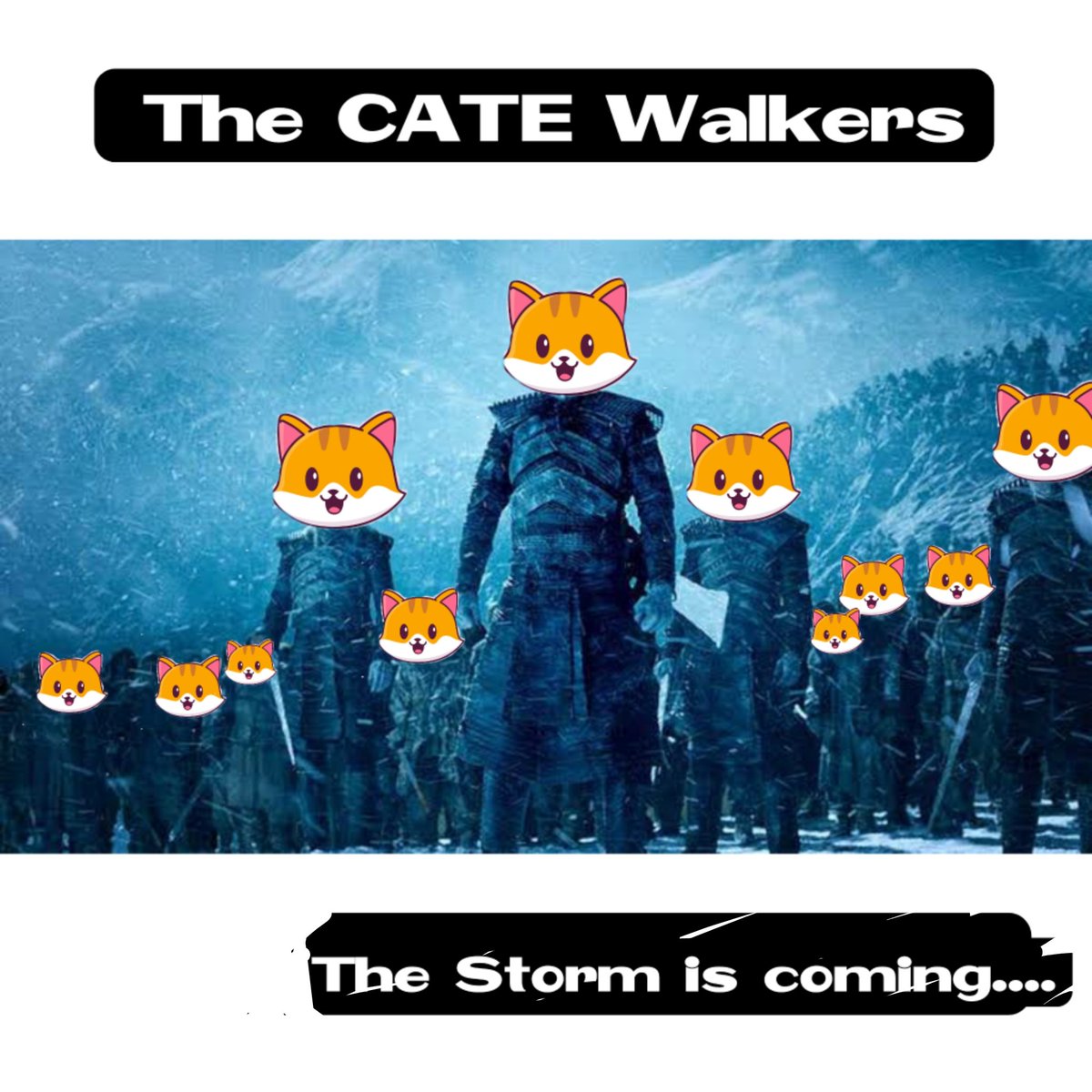 BoyEmptyCup's tweet photo. Are you ready #CateArmy?
#catecoin
#TheyKnowNothing
#lowcapgem
#100xgem https://t.co/PijGifZydd