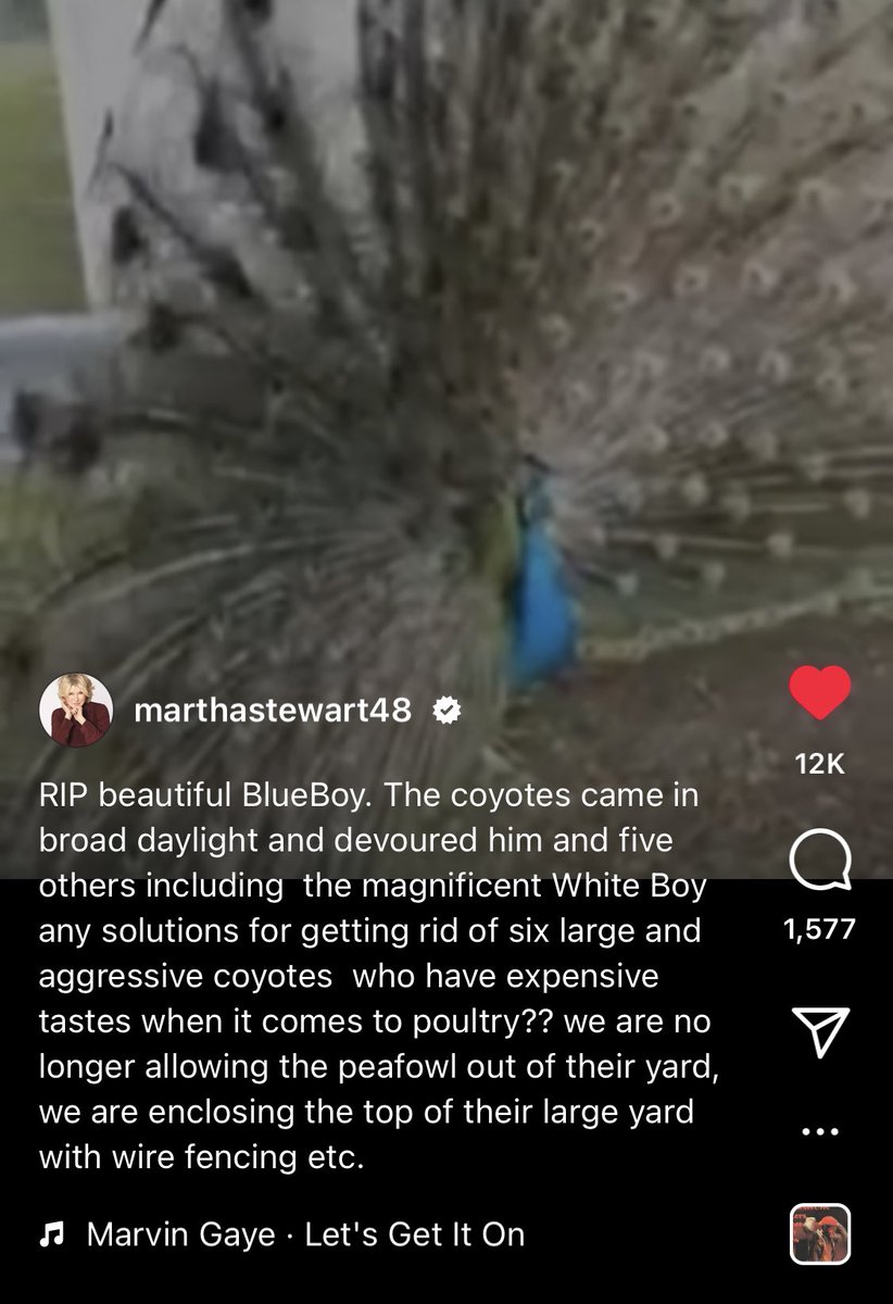 ecareyo's tweet photo. I am speechless, shattered, moved https://t.co/0gulGVrl8Z