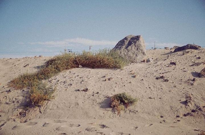 ㅤㅤㅤㅤㅤㅤㅤㅤㅤㅤㅤㅤㅤㅤㅤㅤㅤㅤㅤㅤㅤㅤ

ㅤㅤㅤㅤㅤㅤㅤㅤㅤㅤㅤㅤㅤㅤㅤㅤㅤㅤㅤㅤㅤㅤ  ㅤㅤㅤㅤㅤㅤㅤㅤㅤㅤㅤㅤㅤㅤㅤㅤㅤ