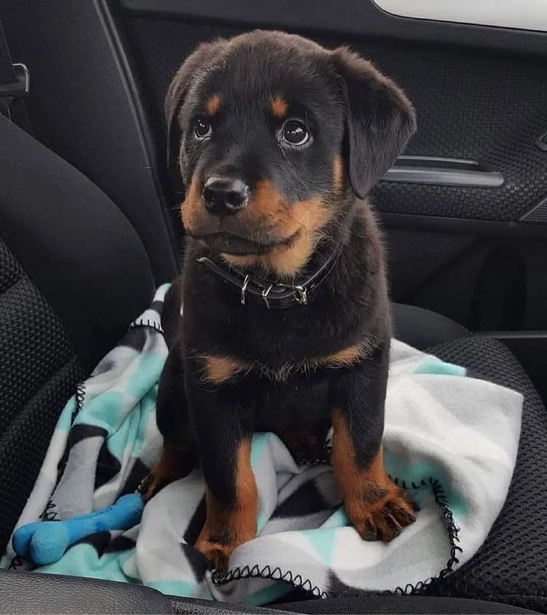 No need for a blanket, I can sit on the seat too 🤩😎