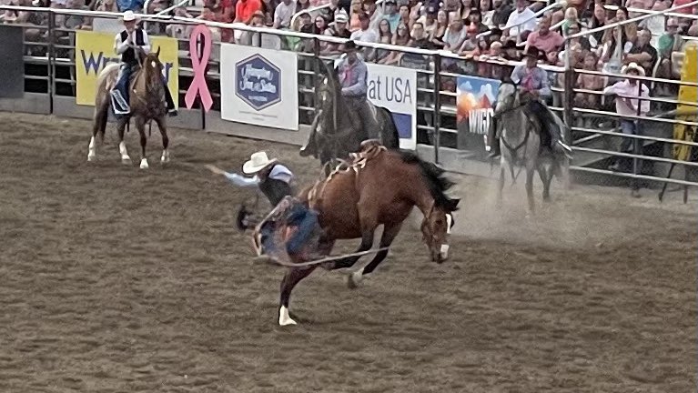 MarkIJones2744's tweet photo. Photos from the Fiesta Days Rodeo in Spanish Fork from Friday Night. #Spanishfork #FiestaDays @kslnewsradio https://t.co/Bn4eNetCVP