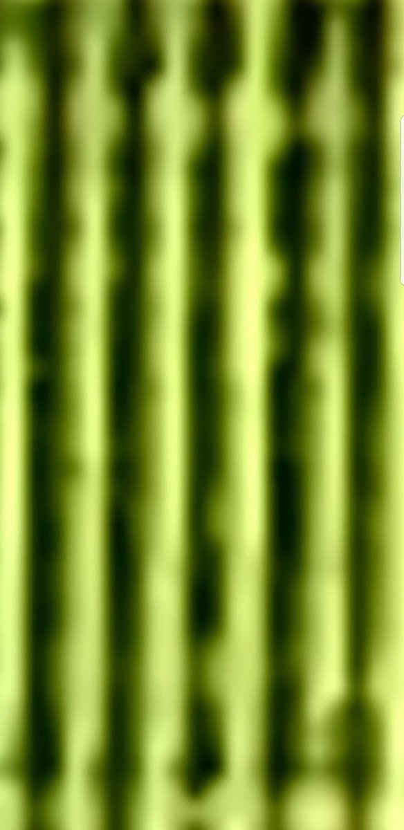 Ken Klocke tweet media