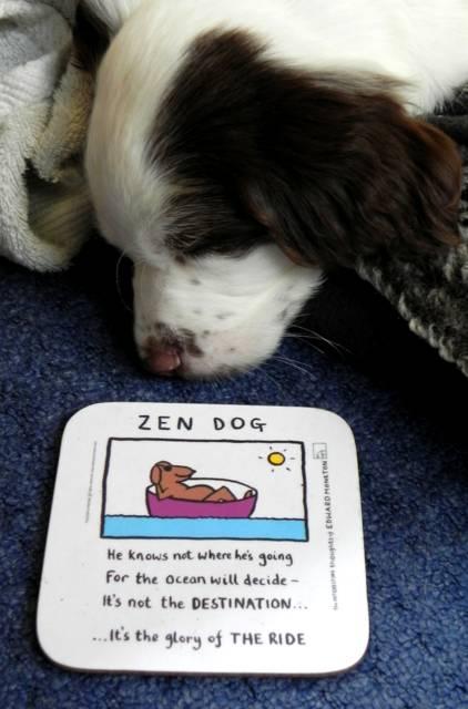 Tweet_Bus Ticket tweet media