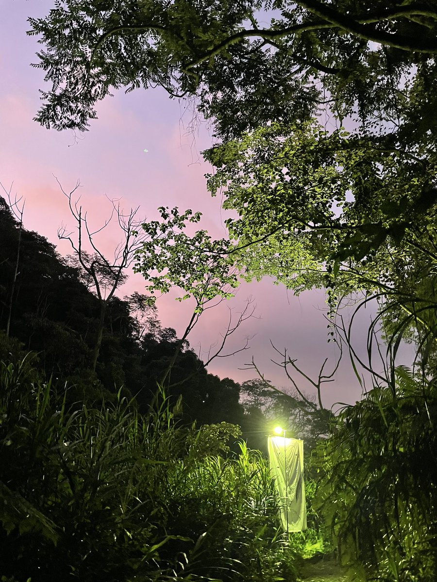 肉蛋吐司 (@tezeyatt) on Twitter photo 