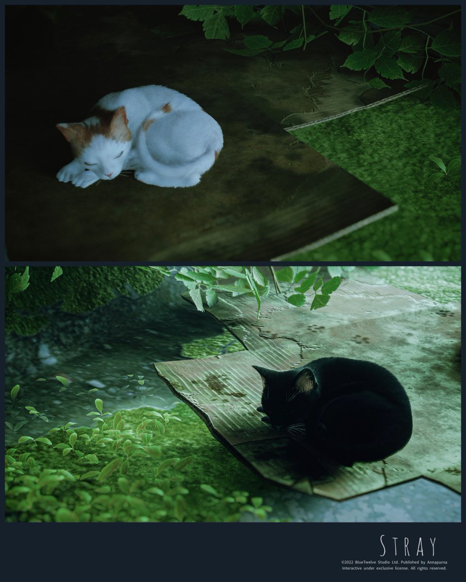 Kiku_ken_16_9's tweet image. 0723
黒と白
B&amp;amp;W

話題の猫になるゲーム
エルデンリングに引き続きフォトモードなし😭
相変わらず時間は溶けてゆく

Game:#Stray
(PS4Pro,Retouched photos)
Tags:#バーチャル猫 #virtualcat
#vpgamers #gamergram #zarngaming
#virtualphotography
#PSshare #PSBlog