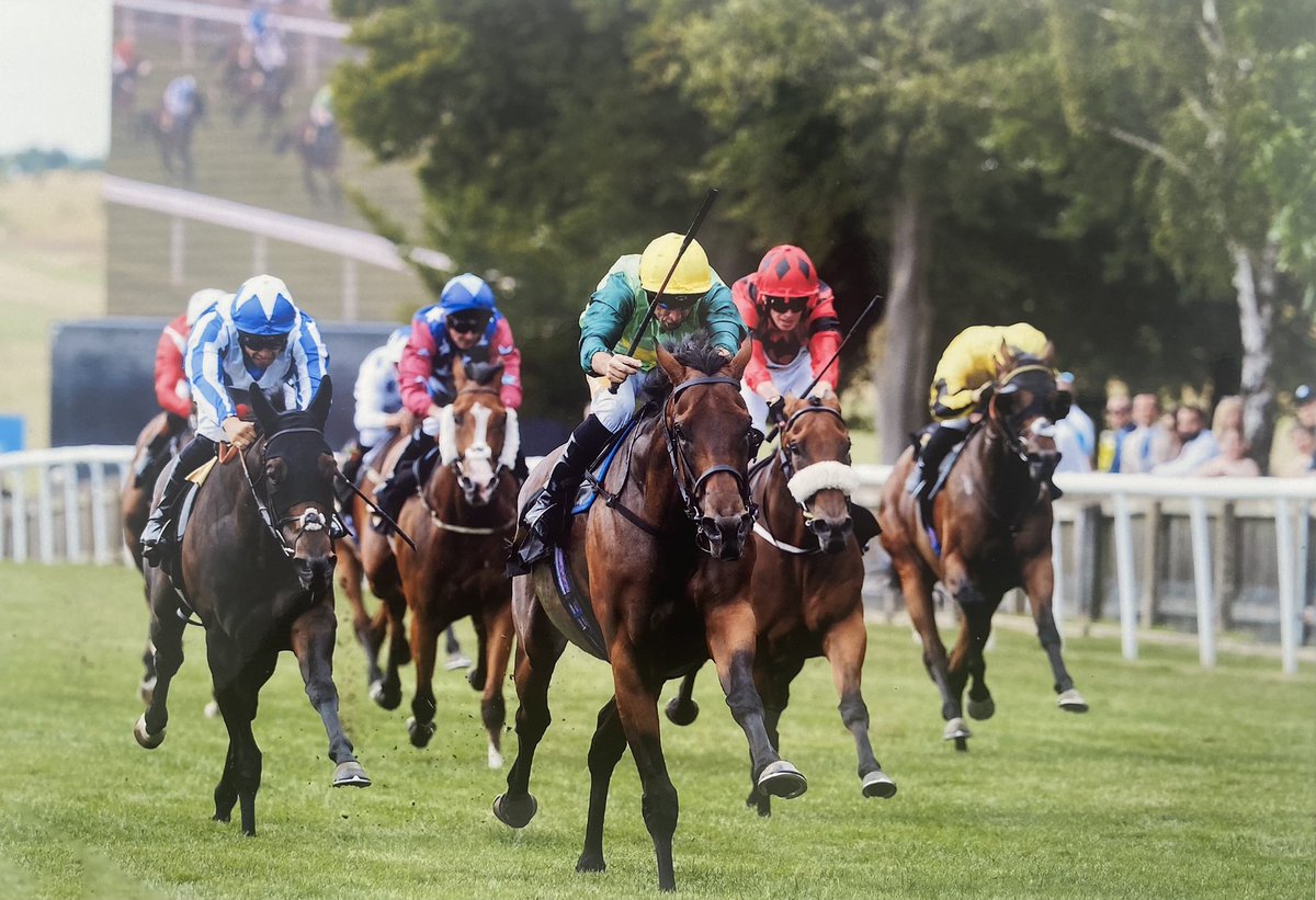 Recycled Products (@recycproducts) on Twitter photo Today we were delighted to be racecard sponsors <a href="/GRoederRaceday/">TheGlennRoederRaceday</a> and our ⭐️ Uzincso ⭐️won the fifth race. Trained by <a href="/jbutlerracing/">John Butler</a>. Ridden by <a href="/neilcallan78/">Neil Callan</a> Today we were delighted to be racecard sponsors <a href="/GRoederRaceday/">TheGlennRoederRaceday</a> and our ⭐️ Uzincso ⭐️won the fifth race. Trained by <a href="/jbutlerracing/">John Butler</a>. Ridden by <a href="/neilcallan78/">Neil Callan</a>