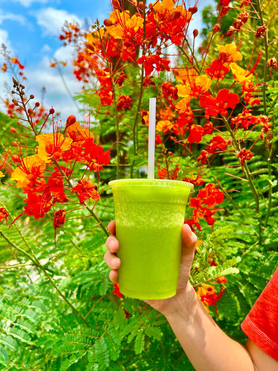 It’s Sun Ra Saturday! Stop by any of our locations today for $1 off our Sun Ra juice, an invigorating combo of kale, spinach, celery, pineapple, mint, and parsley. ☀️