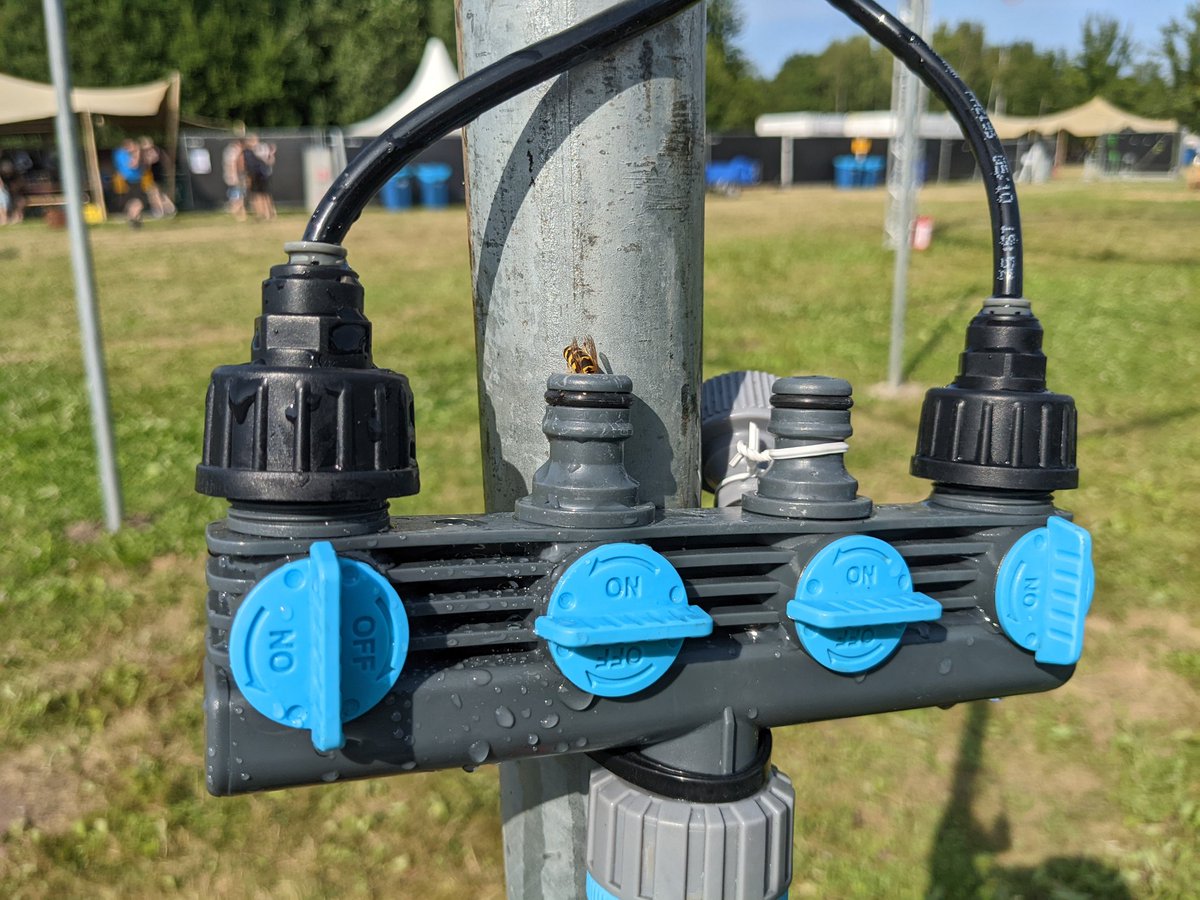 Even the wasps are drinking more water at #mch2022