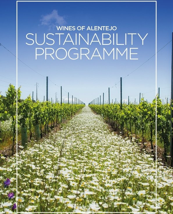 WineInterviews's tweet photo. #Harpers #Article by Nick Breeze Turning #Winemaking Competitors into Collaborators To Fight #ClimateChange in #Alentejo #Portugal 📷️ source: Harpers Drinks Alentejo Sup. Cover https://t.co/nrVWBIfjDT #wine #vino #vin #sustainability #sustainabilityprogramme #WASP #wines #eco https://t.co/GJ7a5nAAB0