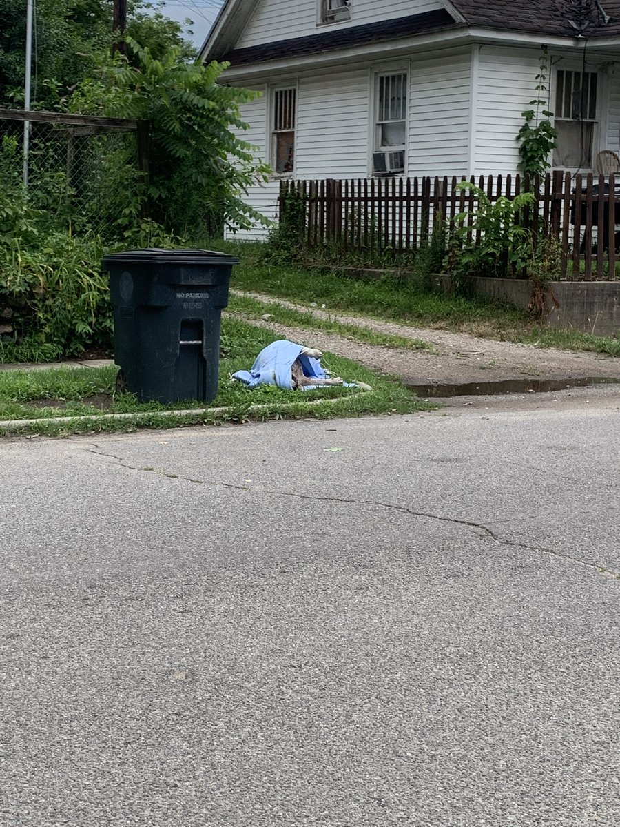 bbobgb's tweet photo. 20 hours later…drug to alley by @CityofSouthBend  animal control. @WSBT @WNDU @LMossWNDU @JSpringg_WNDU @WNDU_reporter @BMontgomeryWSBT @EricaFinkeTV @JamesParishWX @reporterroxie @Abc57Bailey @ABC57News https://t.co/NLprcd6RMd