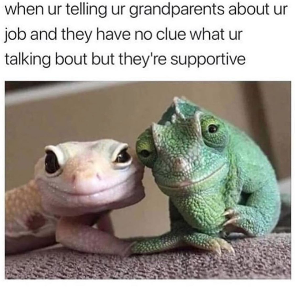 WholesomeMemes (@wholesomememe) on Twitter photo 