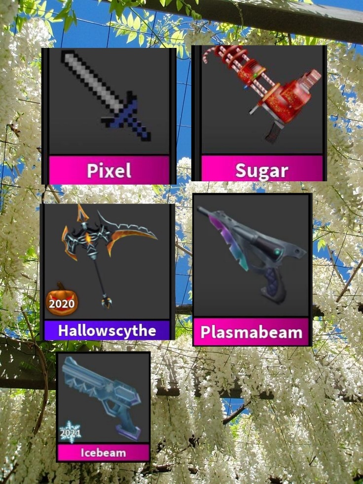 high_trying's tweet photo. trading all this (mm2) for royale high halos or adopt me pets (im not go first i have 4 proofs)  #adoptmetrading #Adoptmetrades #adoptmecrosstrading #mm2 #mm2trade #royalehightrade #royalehighcrosstrading #royalehighhalotrades https://t.co/upG95rstpP https://t.co/XWzgdJ70hb