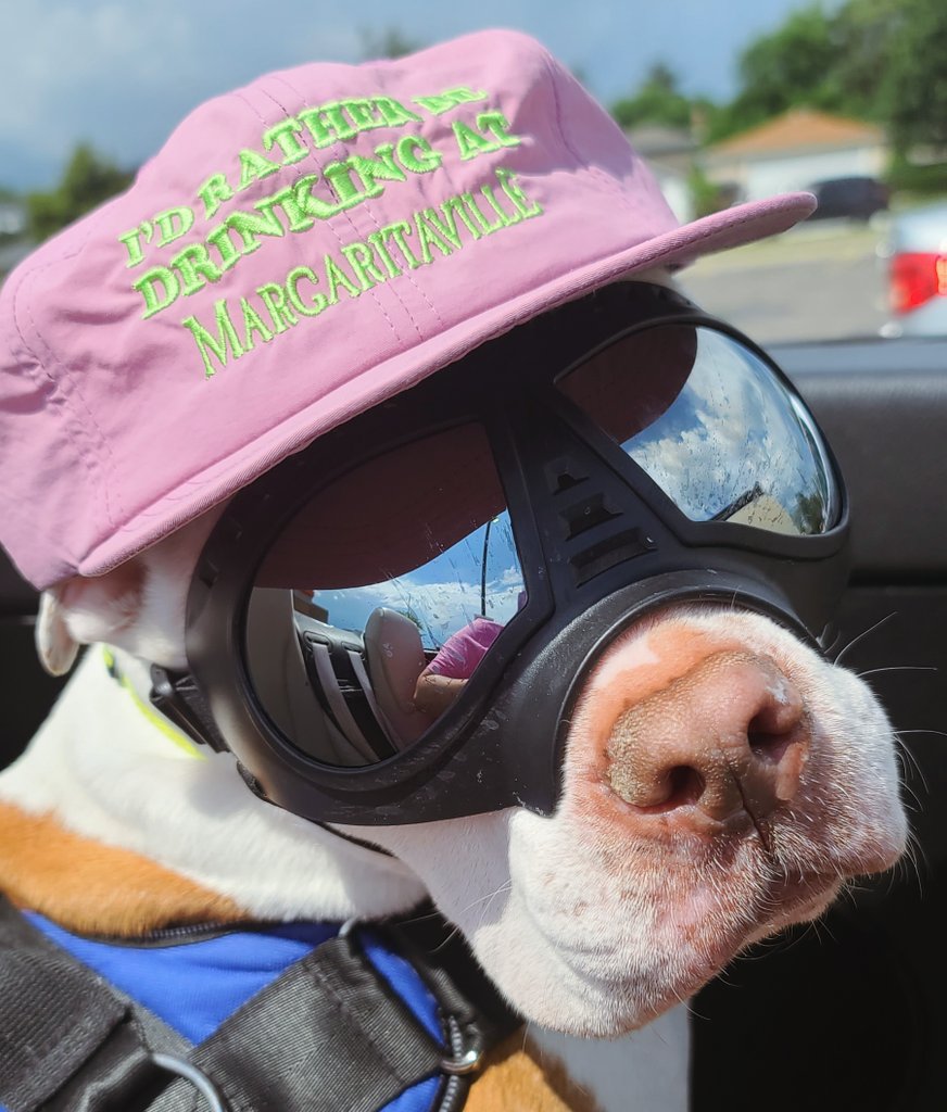 Ferdinandthepi1's tweet photo. The Beasty Boy™️ summer apparel
Hat by #methsyndicate
Bod by God https://t.co/JhObmqdCm1
