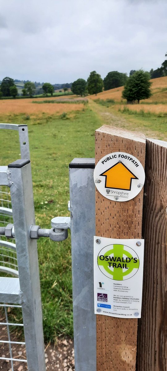 WNapBaukema's tweet photo. #walking through the lovely english #countryside - fields. #ladiesweekend #vakantie #Oswestry #Oswaldstrail #Shropshire https://t.co/IQqr8ECfQ7