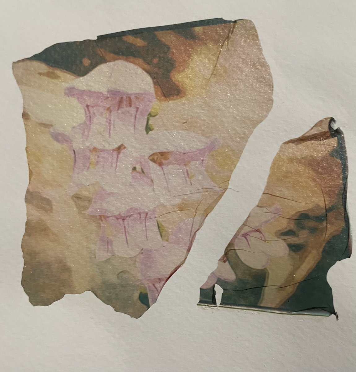 5thWall's tweet image. More #PolaroidLift s. This time from #PolaroidLab. Attempted only an hour or so after development, neither pulled apart cleanly. So I think they need to sit for at least a few hours to get a clean separation, or my technique needs improvement.