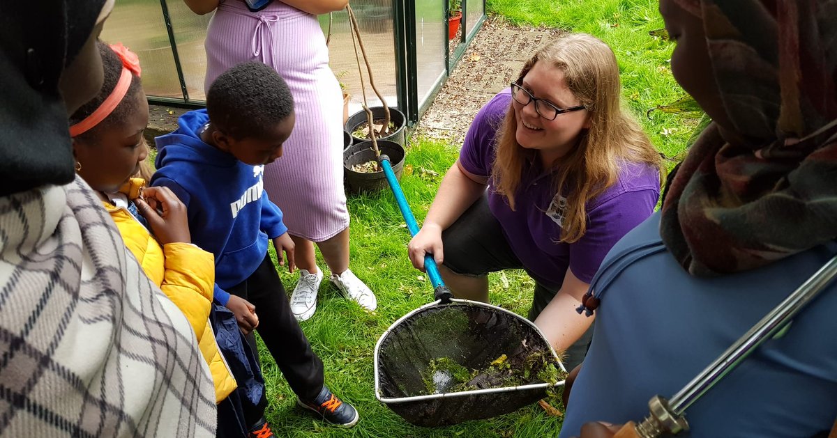 Froglife tweet media