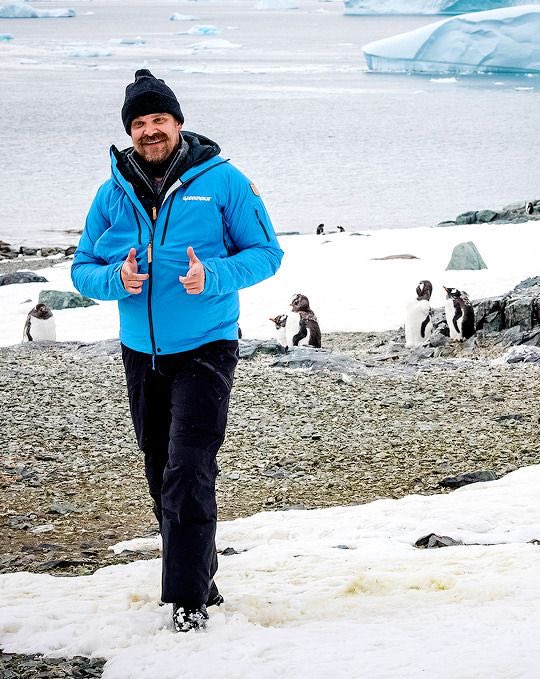 thinkharbour's tweet image. david with penguins