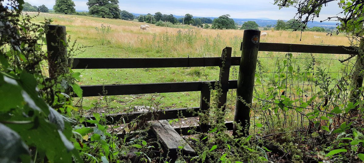 WNapBaukema's tweet photo. #walking through the lovely english #countryside - fields. #ladiesweekend #vakantie #Oswestry #Oswaldstrail #Shropshire https://t.co/IQqr8ECfQ7