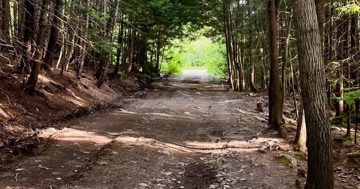 Suzy The Explorer tweet media