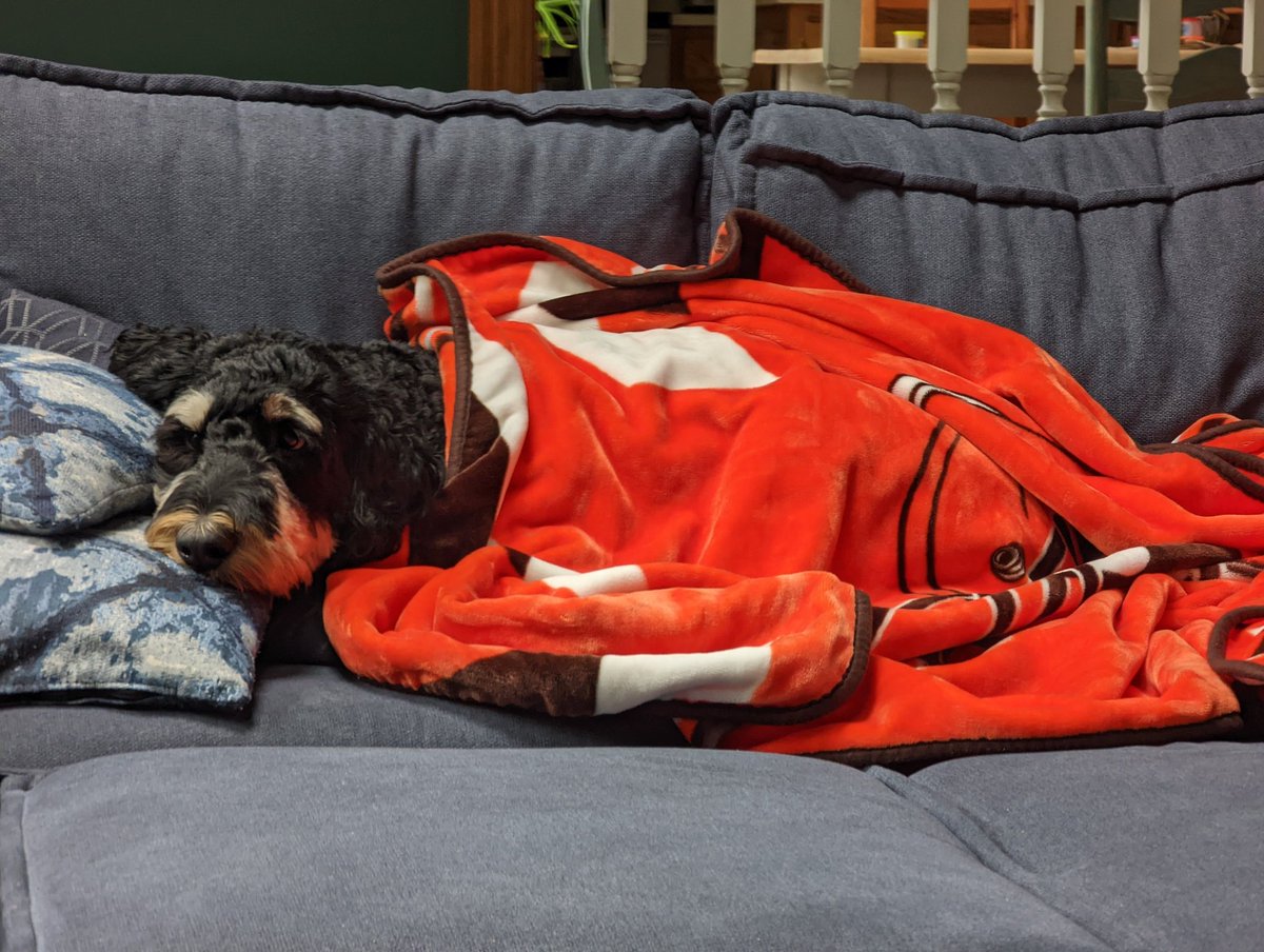 skullydoodle's tweet image. Had a great day volunteering with @SAFJessica and the @RedCrossNOH  but now I must rest.
#therapydog