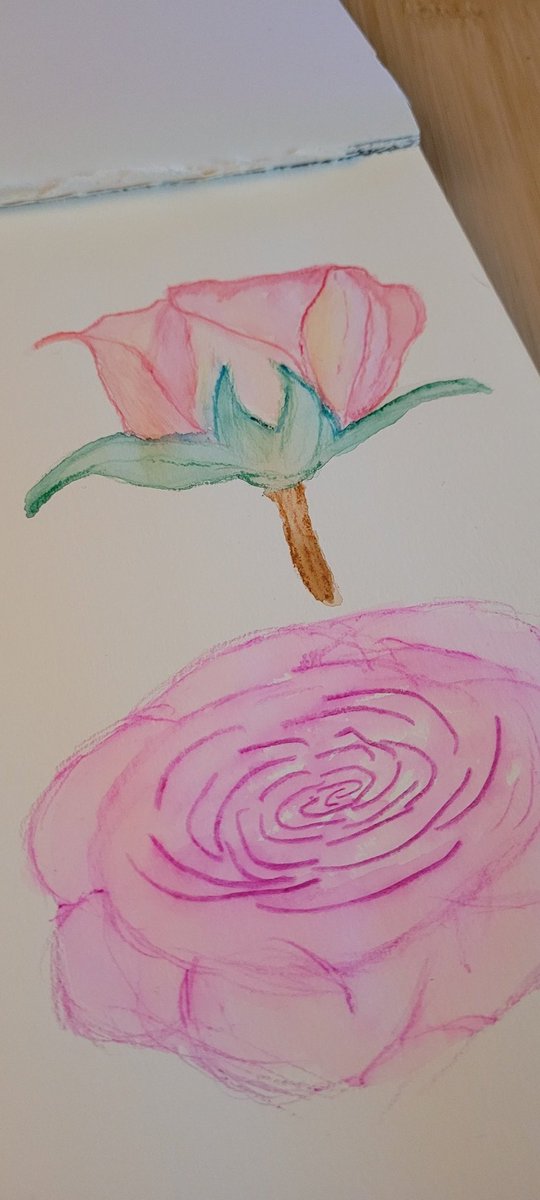 danam314's tweet photo. Today is a watercolour day #painting #watercolor https://t.co/w5tI8lW9rs