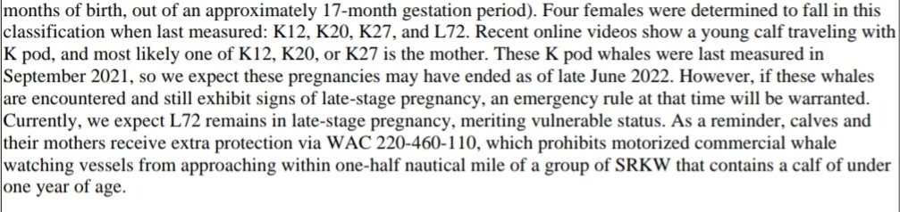 OrcaSpotlight's tweet photo. @movemebrightly_ They expected the pregnancies of K12, K20, K27 to have maybe ended in late June but they could remain pregnant. There haven't been any updates since June https://t.co/59BCQGlJ4X