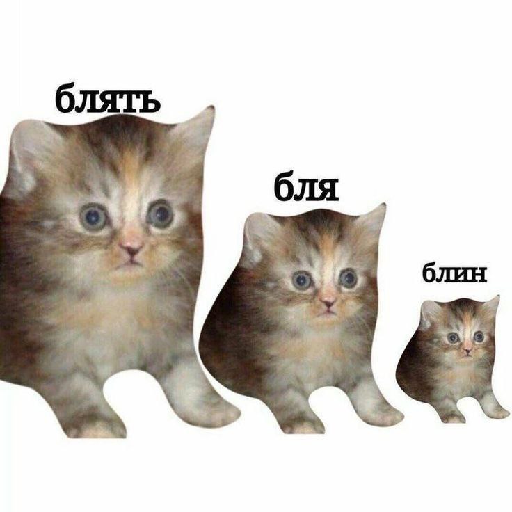 KandelabRr's tweet photo. так отвыкла что то постить)))) https://t.co/0d7XlWU9cq