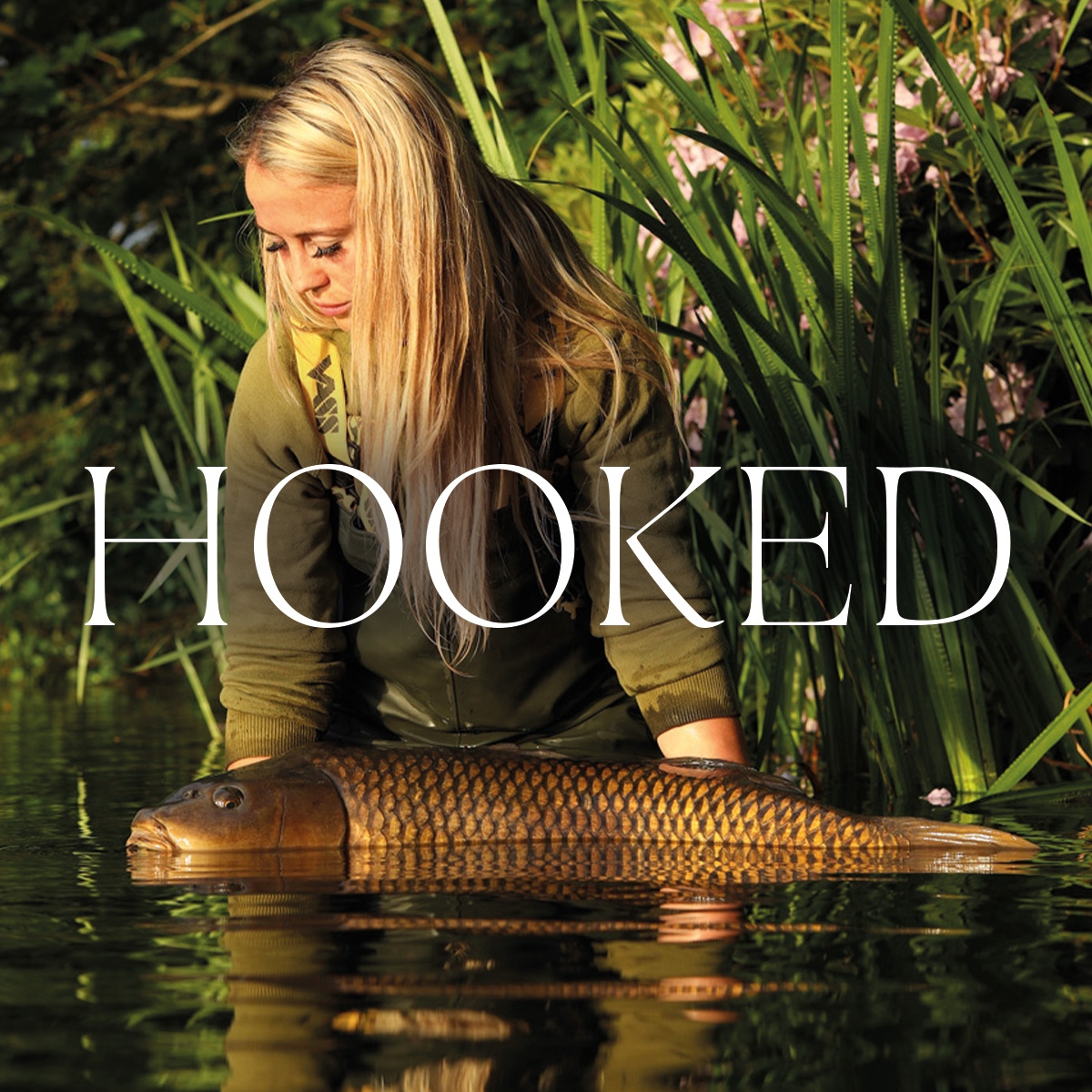 Beverley Clifford tweet media