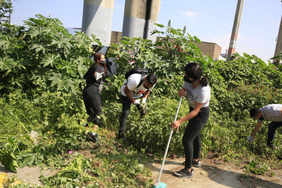evelyn_parraA's tweet image. ‼️Sumamos esfuerzos para esta GRAN JORNADA DE LIMPIEZA‼️

Gracias a la participación de jóvenes carrancenses, las cuadrillas de limpieza y las distintas áreas de la @PT_VCarranza, limpiamos el Parque Lineal Ave Fénix. 
1/2