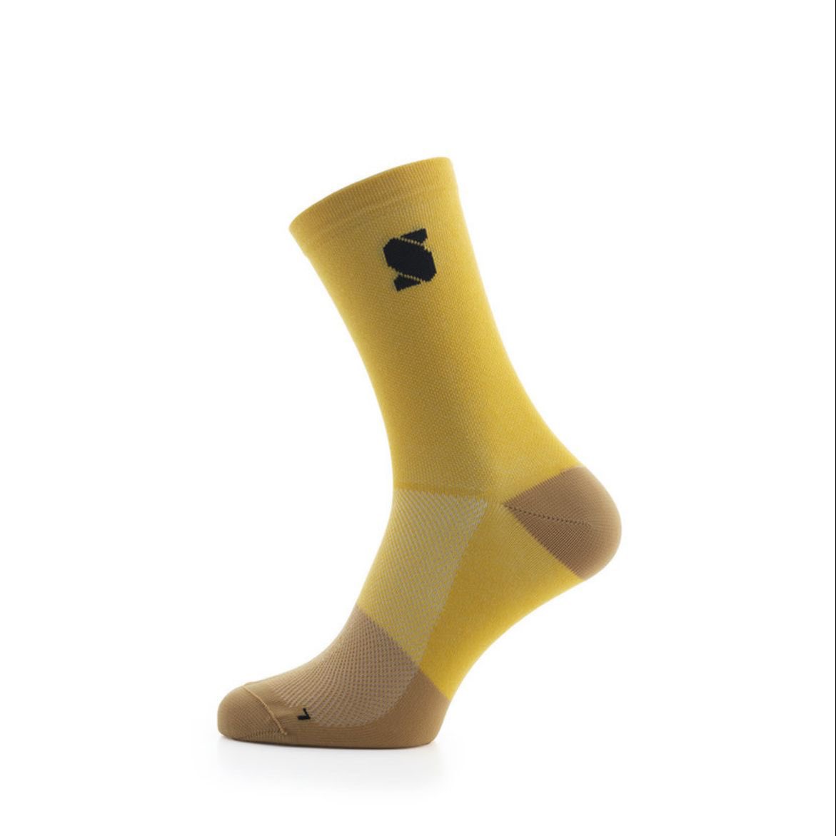 Thijs Zonneveld tweet media