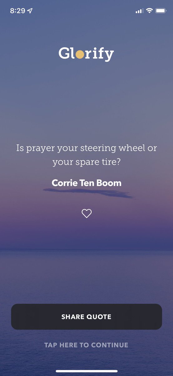 Michelle Wilson tweet media