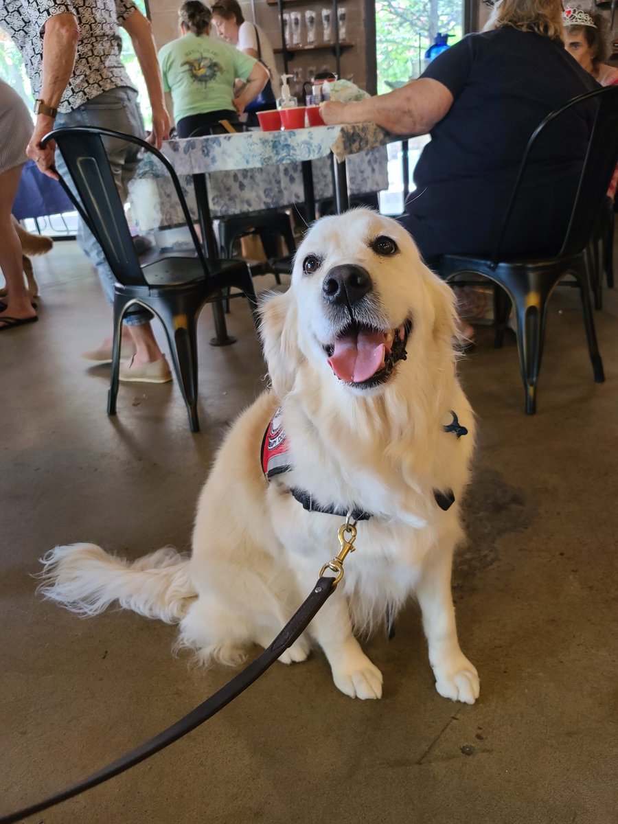 HappyTailsPetTherapy tweet media