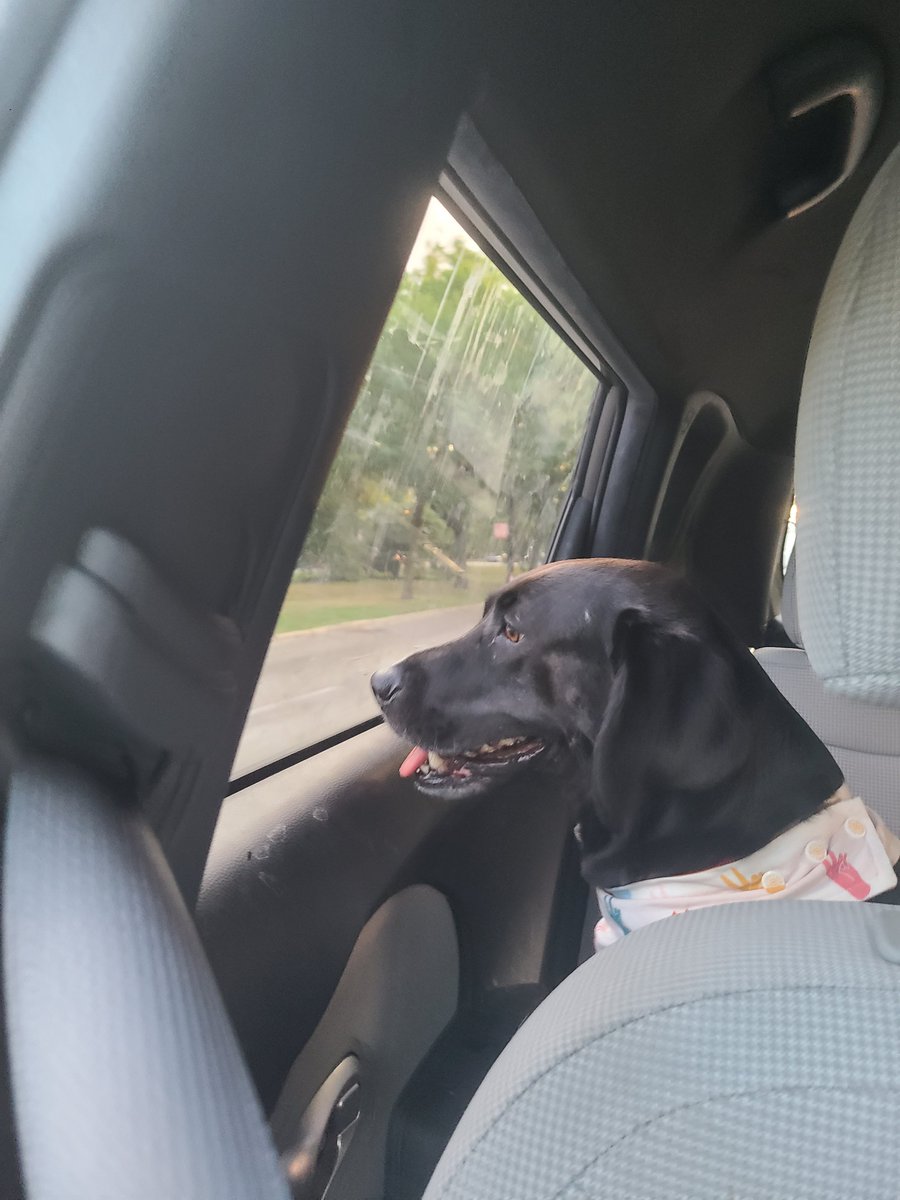 Mr. Fischer tweet media