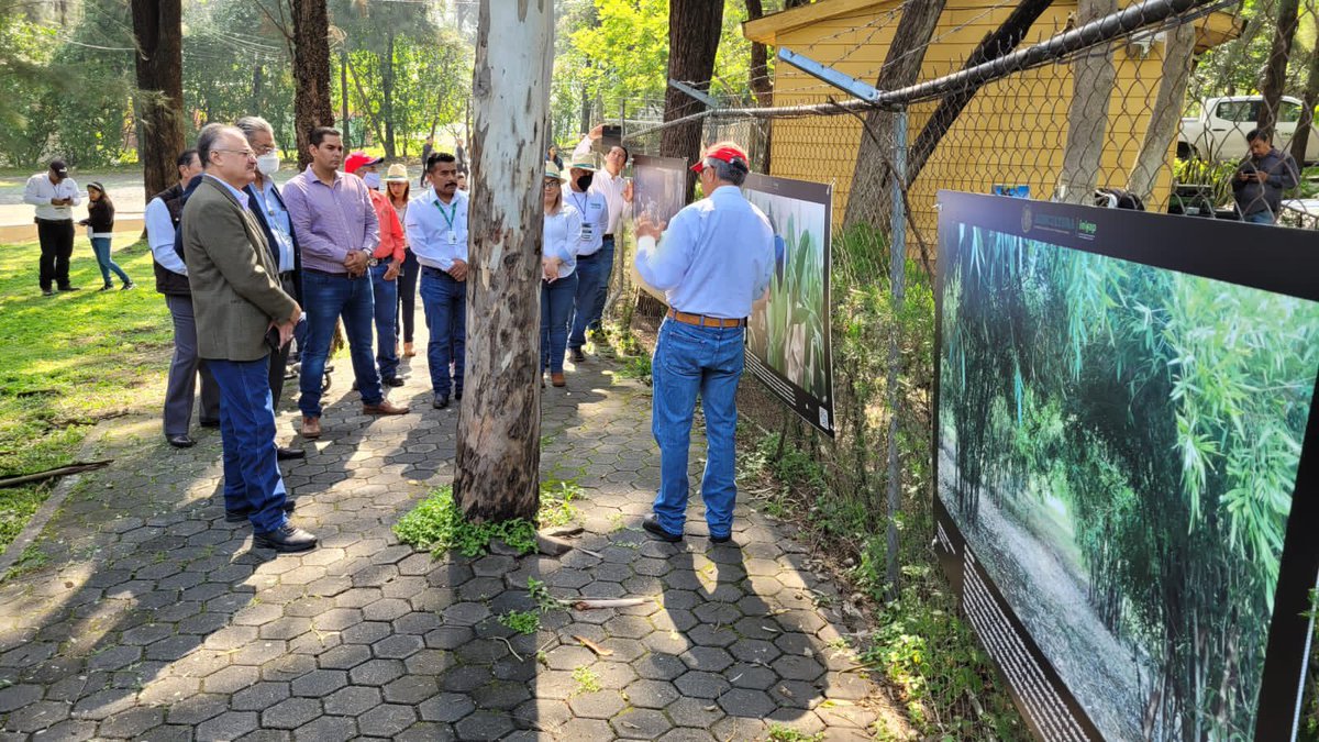 inifap's tweet photo. Las Puertas Abiertas del #CIRPAC le dieron la bienvenida a la Exposición Itinerante #INIFAPEnTuVida. 📸
Esta exposición está conformada por las 12 fotos ganadoras del concurso realizado en 2021, en donde mostramos el quehacer diario del #INIFAP. https://t.co/68Webr5Klv